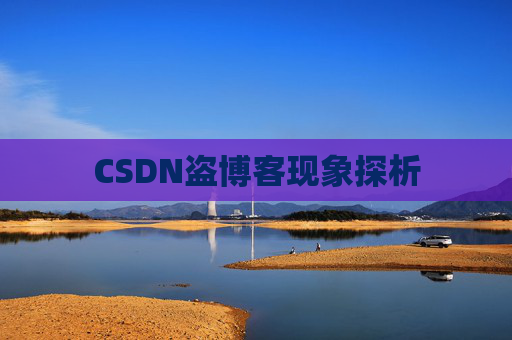 CSDN盗博客现象探析